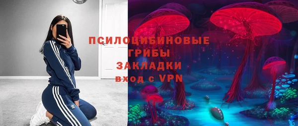 дживик Алзамай