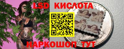 spice Канаш