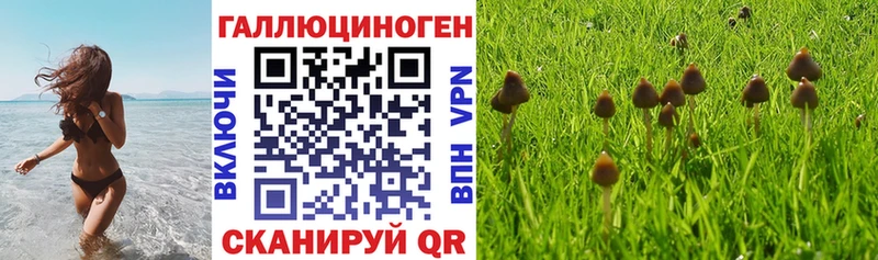 Псилоцибиновые грибы Magic Shrooms  Нижнеудинск 