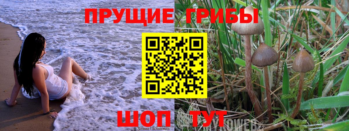 Псилоцибиновые грибы Cubensis Нижнеудинск