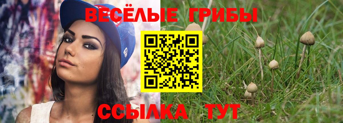 как найти наркотики  Вход с VPN  Нижнеудинск  Галлюциногенные грибы прущие грибы 